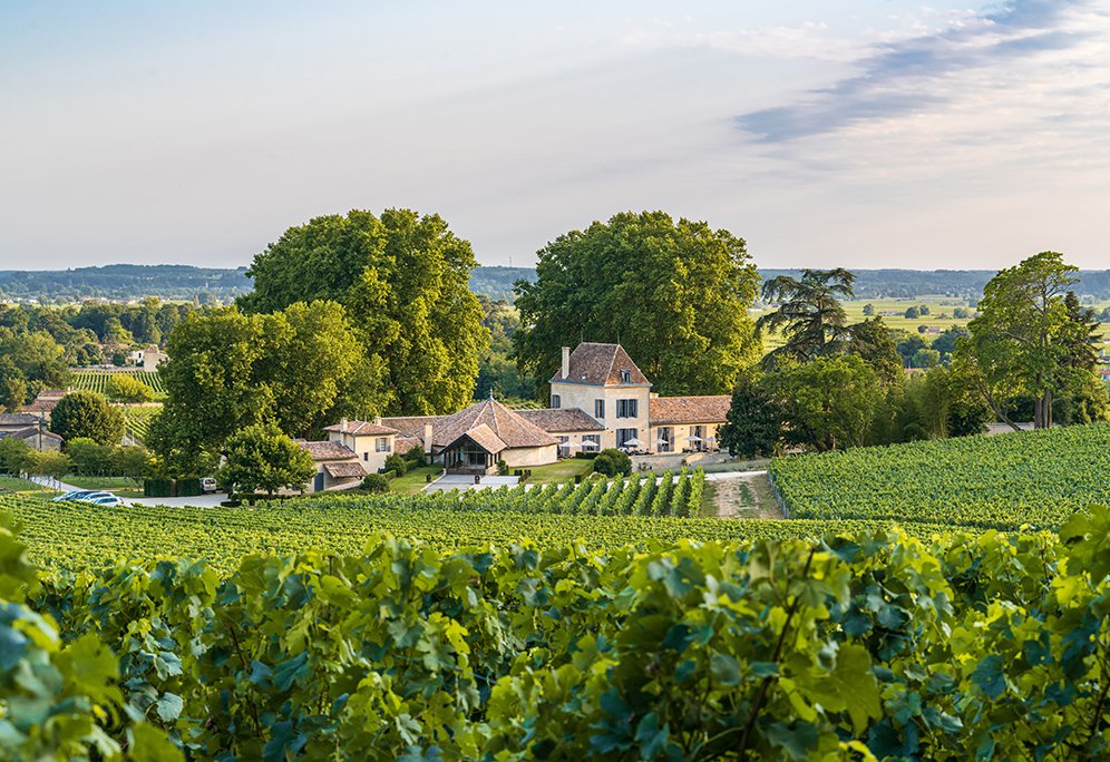 Wine estate in St Emilion - Bordeaux wine tours France
