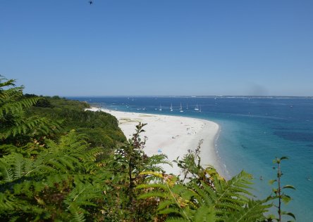Groix island beach in Brittany in the summer. The sand is white, the sea is turquoise, the sky is clear, and there are green trees in the foreground and to the left