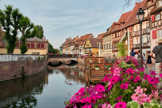 Half timbered houses and pink flowers by the canal in Colmar, Alsace