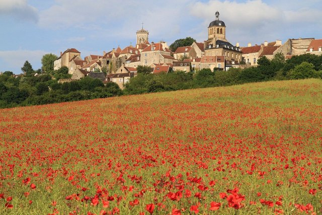  A distant view of the village of Vézelay in Burgundy with a field of poppies in the foreground