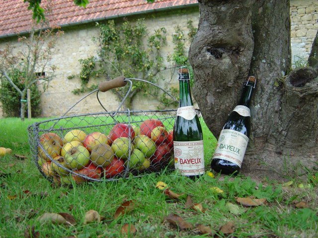 Enjoy some apple cider and Calvados apple brandy from Normandy