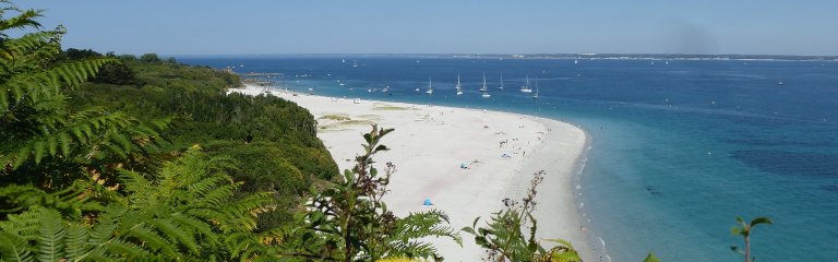 Groix island beach in Brittany in the summer. The sand is white, the sea is turquoise, the sky is clear, and there are green trees in the foreground and to the left