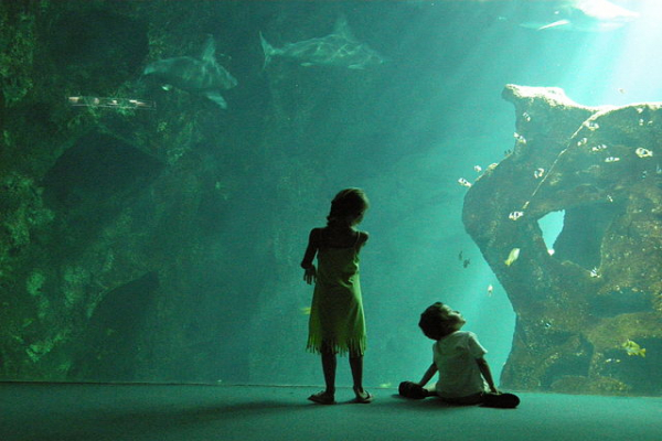 Aquarium La Rochelle France