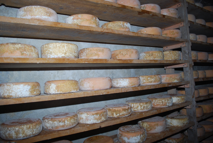 Ossau-Iraty cheese basque country