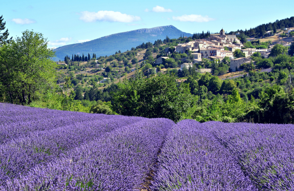 Provence perfect place to spend wedding anniversary in France