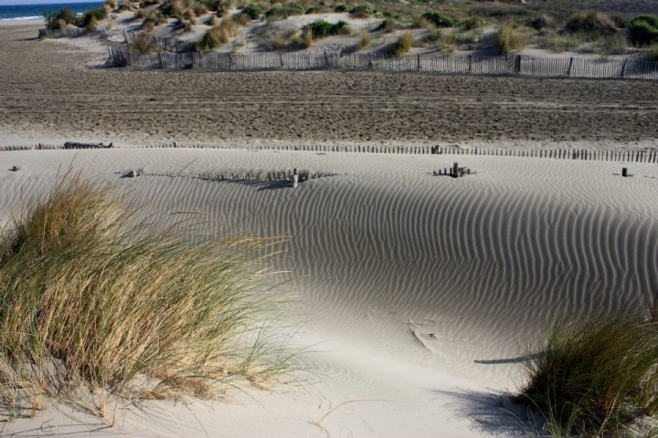 sand dunes in the Camargue, France