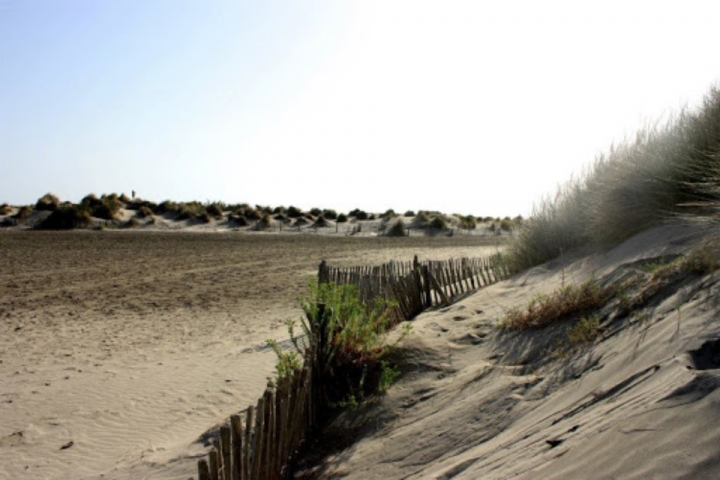 The Camargue Sand dunes