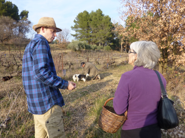 truffle hunting in provence