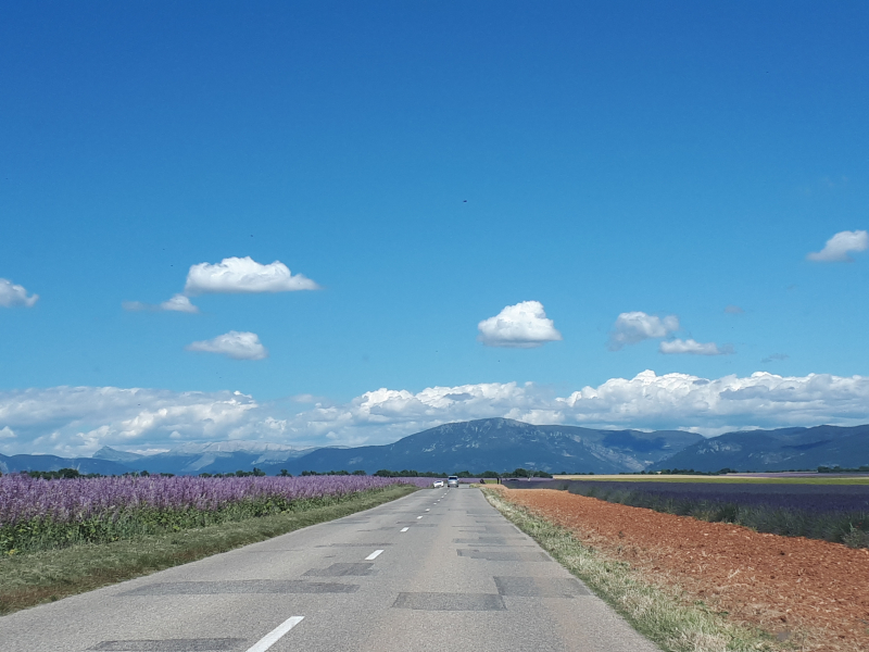 Road trip through Provence