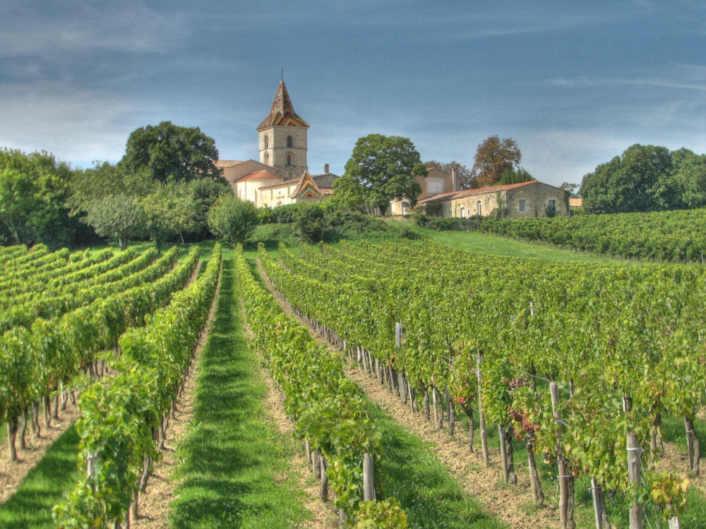 wine tasting in Bordeaux vineyards France