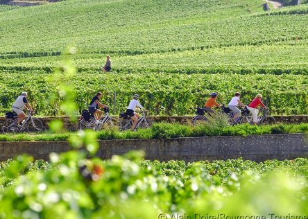 wine and bike in burgundy