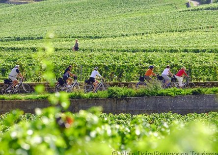 wine and bike in burgundy wine and bike in burgundy