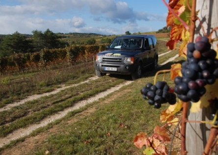 wine tasting Burgundy