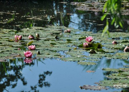 Giverny Monet