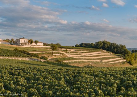 wine tasting st emilion wine tasting st emilion