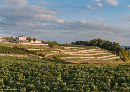 wine tasting st emilion