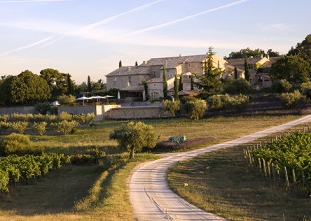A Wine Tasting and picnic in a very special estate in Provence