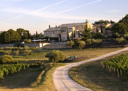 A Wine Tasting and picnic in a very special estate in Provence A Wine Tasting and picnic in a very special estate in Provence