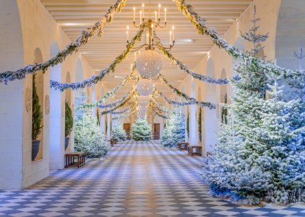 Chenonceau castle on Christmas