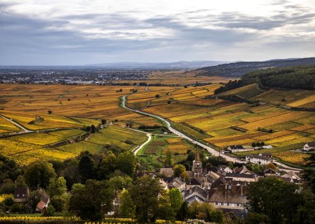 A yellow and green landscape in Burgundy, France