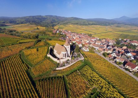 Vineyards in Hunawihr, Alsace