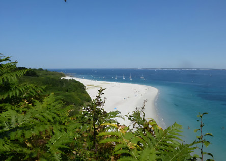 Groix island beach in Brittany in the summer. The sand is white, the sea is turquoise, the sky is clear, and there are green trees in the foreground and to the left
