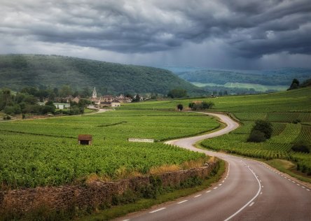 Road through Burgundy wine region