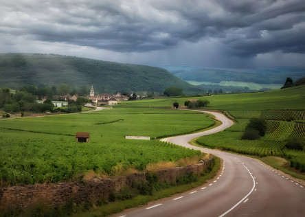 Road through Burgundy wine region