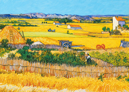 The plain "La Crau" near Arles with Montmajour in the background