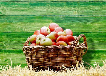 Basket of apples