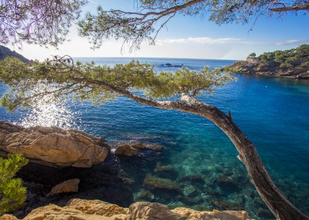 The Calanques Creeks