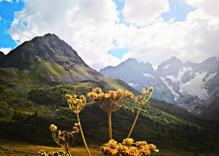 French alps