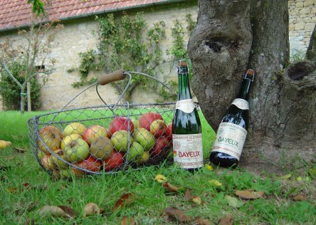 Calvados and Apples - Normandy Cider Route