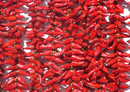 Espelette peppers