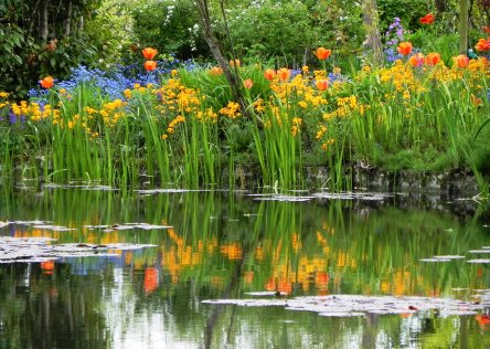 Flowers reflecting in the waters in Monet's garden in Giverny