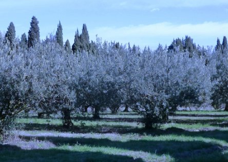 Provence