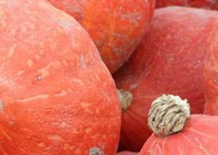 Red Kuri Squash is Potimarron in French