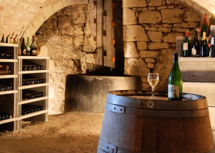 A wine cellar with bottles of wine