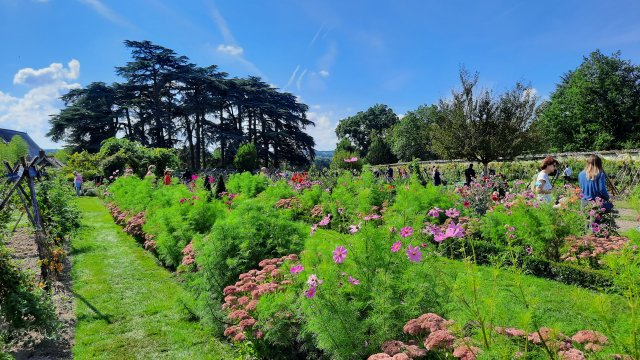 La Bourdaisière kitchen garden