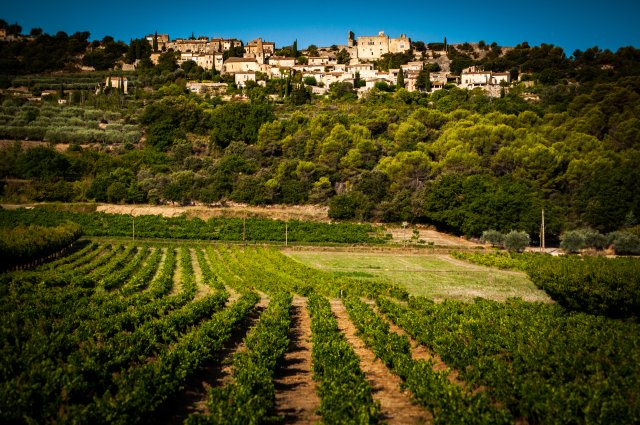 Vaison-la-Romaine in the hills in the background