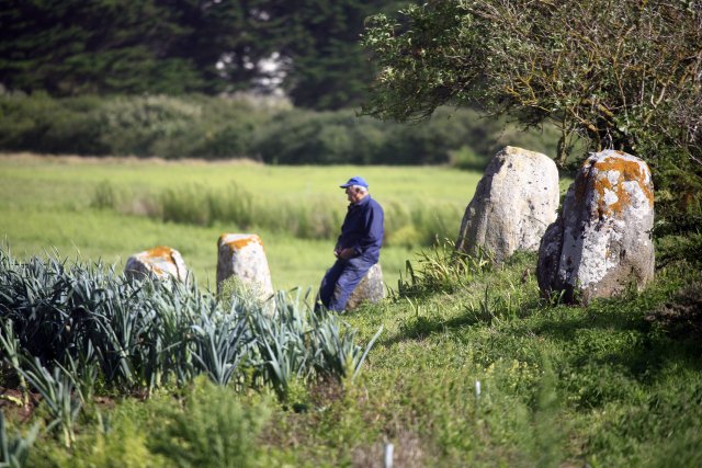 Carnac Alignments