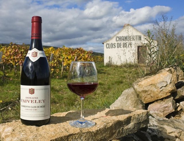 A bottle of red Burgundy and a glass of wine with a vineyard in the background