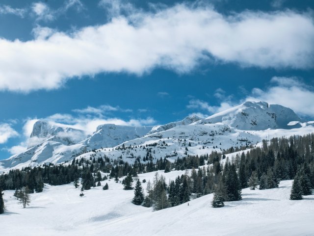 Snowy mountains and pine trees in the French Alps