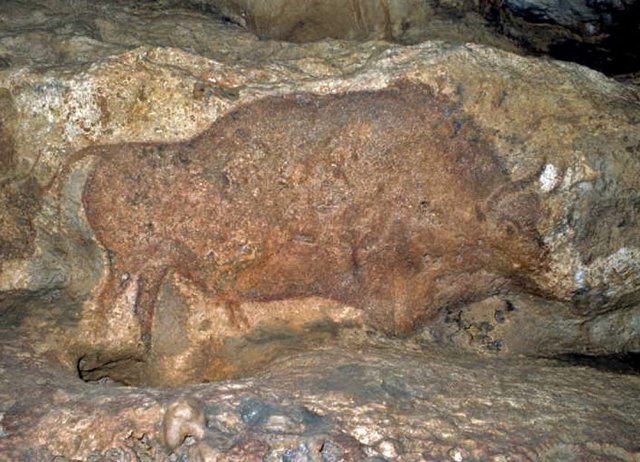 A polychrome cave painting of a bison in the Font de Gaume Cave in Dordogne