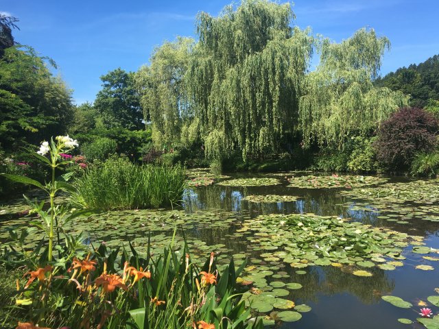 The water lily pond in Monet's garden in Giverny, Normandy