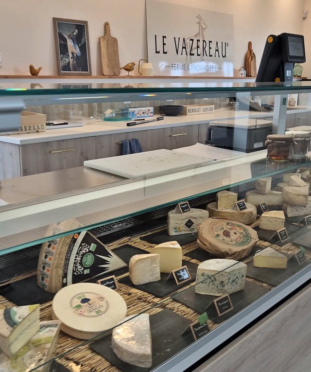 Goat cheese farm shop in the Loire Valley