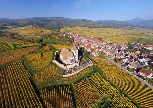 Hunawihr vineyards in Alsace in the fall