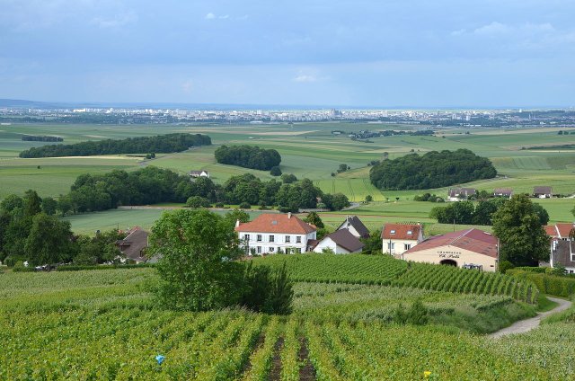 La Montagne de Reims in Champagne La Montagne de Reims in Champagne