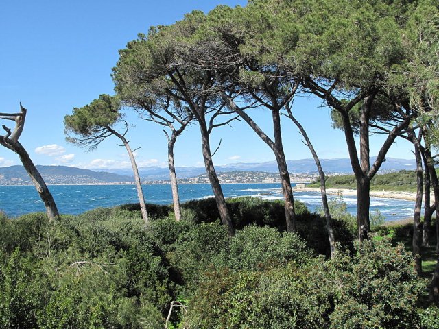 View of Cannes from Saint Marguerite Island