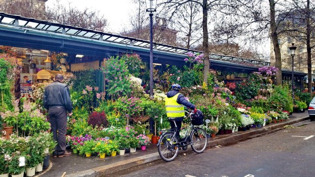 Marché aux fleurs, flower market in Paris